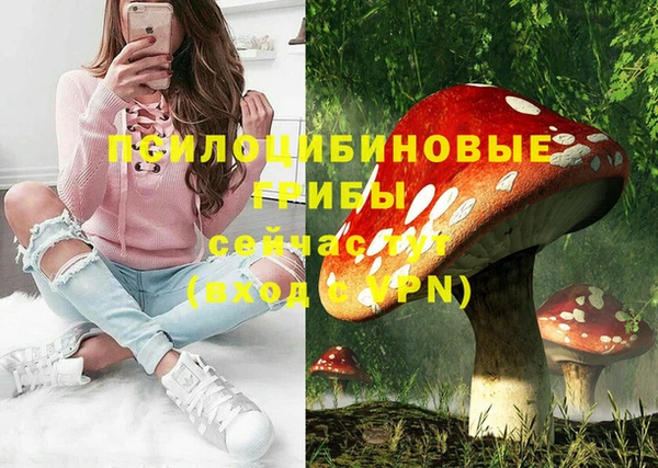 Альфа ПВП Снежногорск