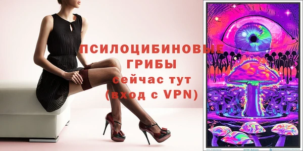 PSILOCYBIN Сосновый Бор