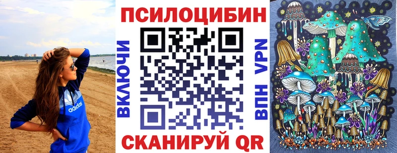Псилоцибиновые грибы Cubensis  Купить  Сретенск 