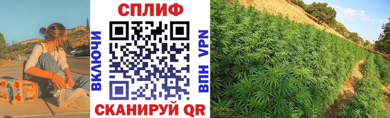 Купить где  Сретенск  Бошки марихуана THC 21% 